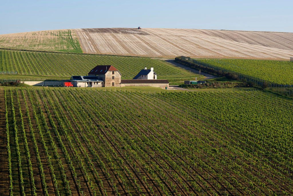 Alfriston Flint Barns