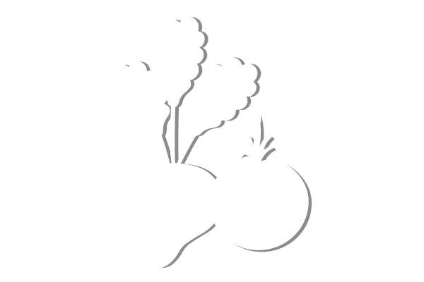 BRAVO 2019 - Plant Champions - vegetables