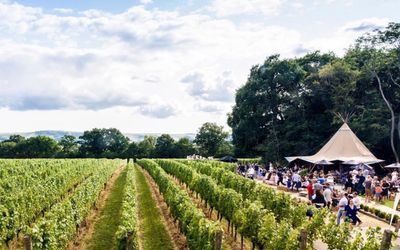 Ridgeview Wine Estate