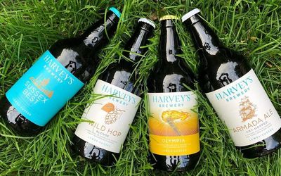 Bottles of ale laid out on the green Summer grass