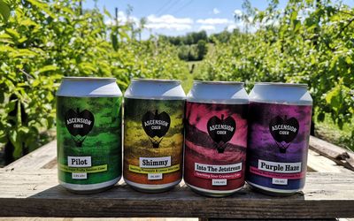 Four cans of Ascension Cider lined up on a wooden bench with views of trees in the background.