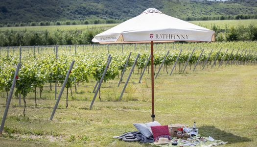 A picnic and umbrella in the Rathfinny wine estate