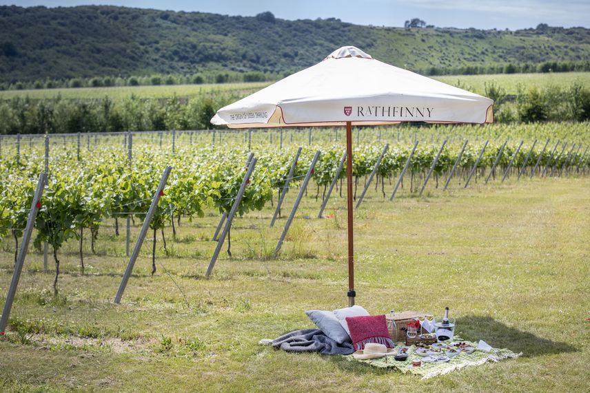 The Tasting Room Rathfinny Estate Reviews, menus and book online