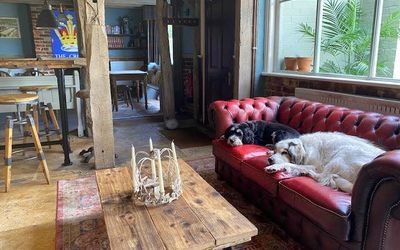 Two dogs laying side by side on a red leather sofa in front of a low wooden table, in the background there is a traditional English country pub