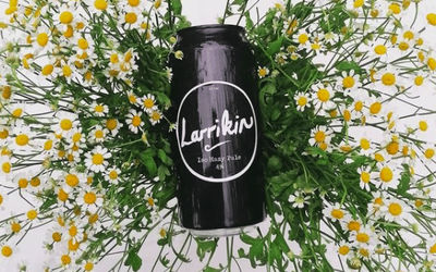 A black can of Larrikin beer sat in a bunch of daisies