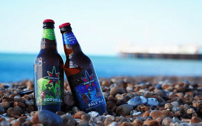 Bottles of Dark Star beer on the beach pebbles with a sea view in the background.