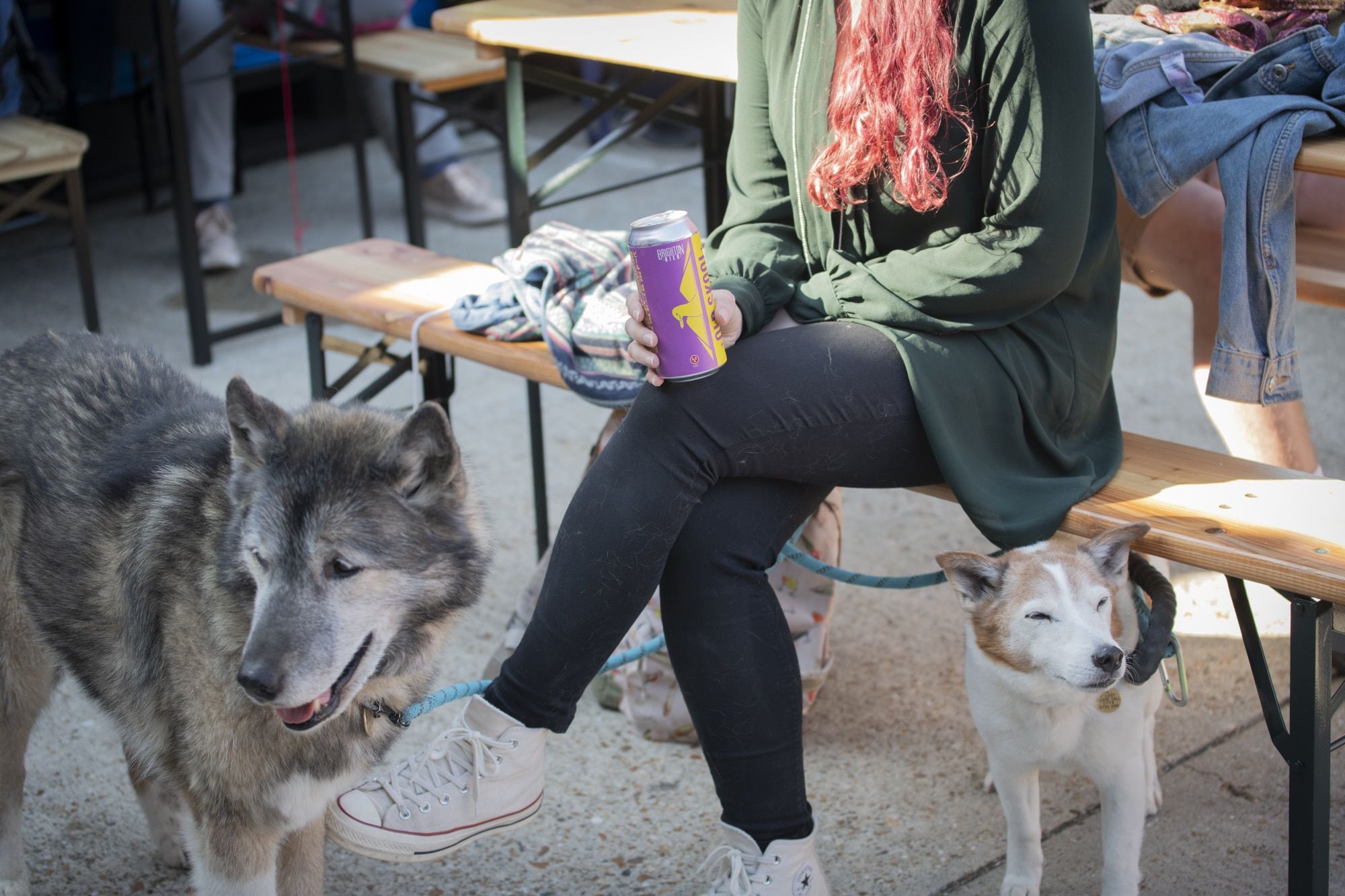 A person and two dogs sitting outside with a can off beer.