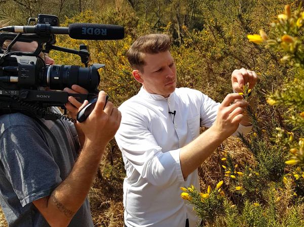 Chef Jean Delport being filmed picking gauze flowers