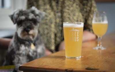 A dog and some pints of Brighton Bier at a pub table