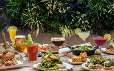 Brighton bottomless brunch at Moksha cafe. Pictured about ten different dishes and juices set on a wooden table with a green back drop. The picture is inside Moksha caffe on York place.