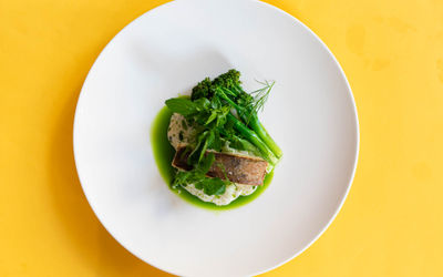 Overhead shot of a white circular plate on a yellow background, in the centre of the plate is broccoli and greens with a pan fried white fish on a white foam and pea-green sauce