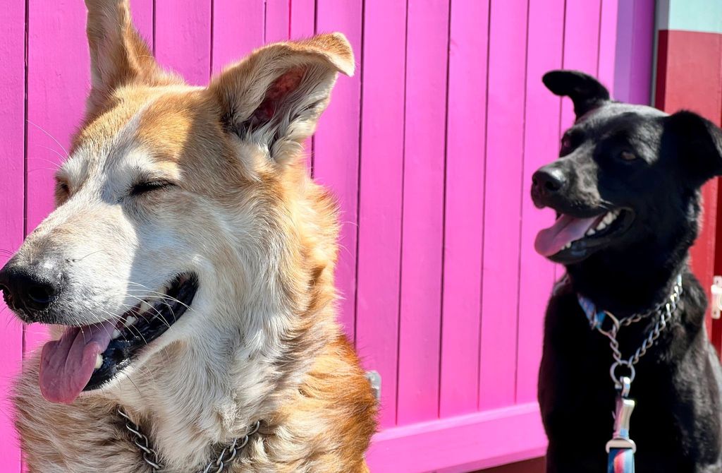 floyd and luna