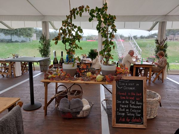 Inside a marquee with a harvest table decorated with squashes, wine bottles and vines, in the background you can see through the marquee to views over a vineyard