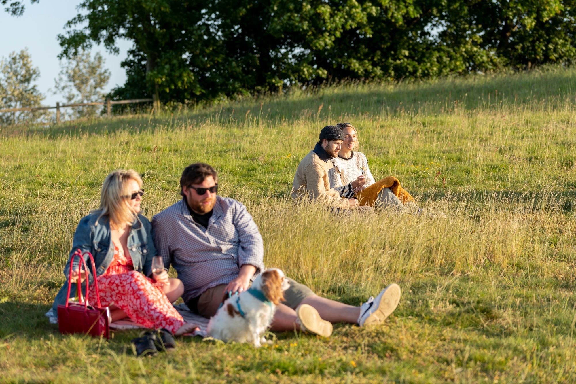 two couples enjoying the picnic at the Albourne Estate