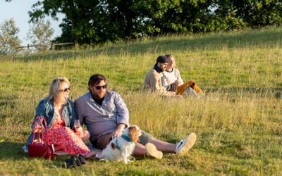 two couples enjoying the picnic at the Albourne Estate