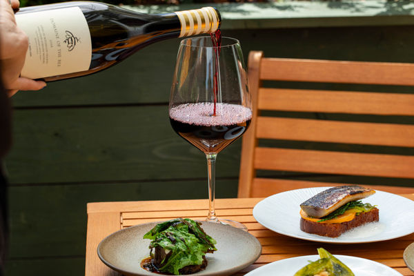 a hand pouring red wine in the glass, a few small plates served on the table