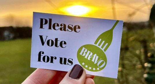 Bravo voting card, vote for us. Green writing on a white card which is business size. A ladies hand holding the card and a sunset