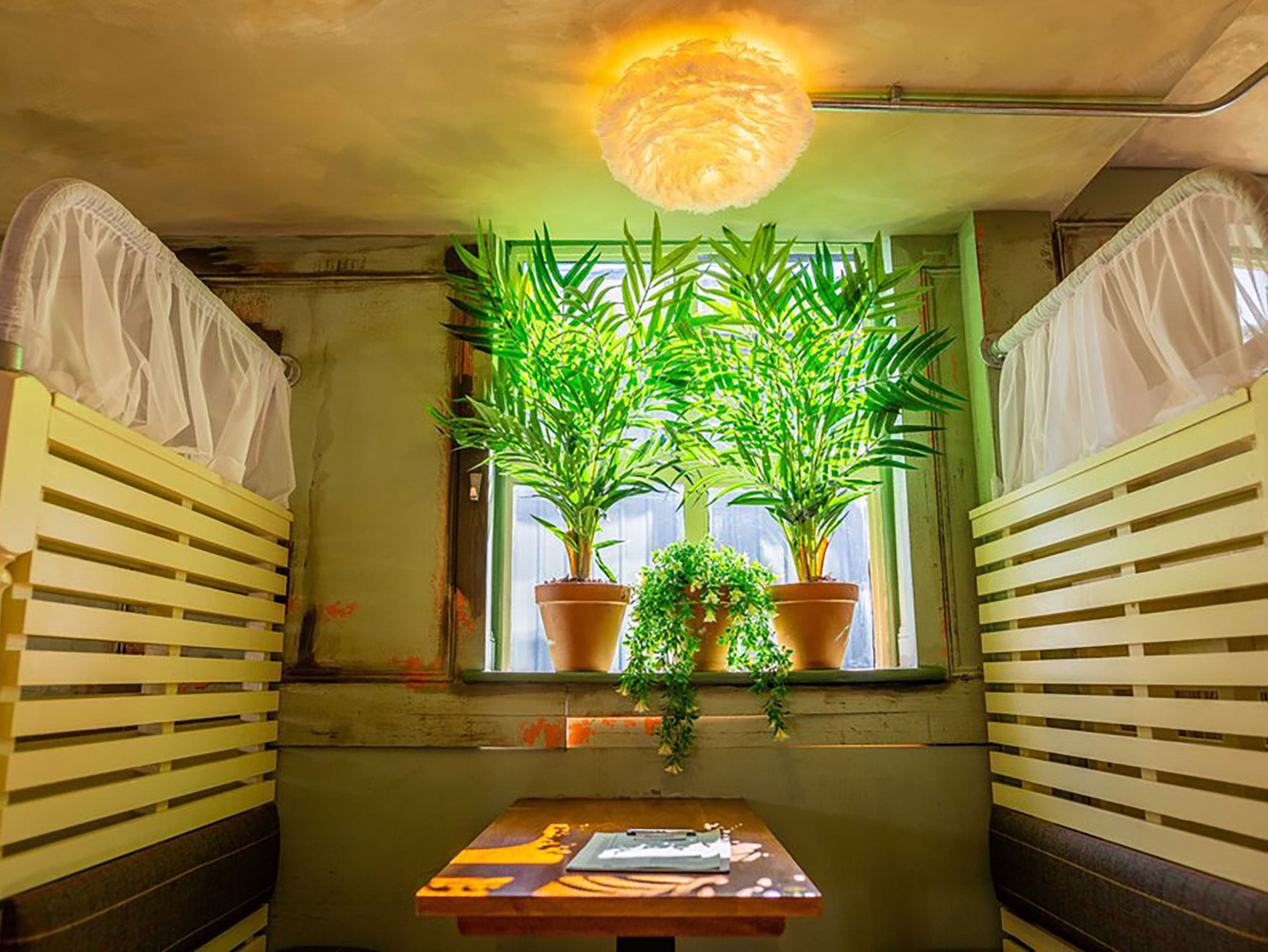 Booth seating at Oculist Brighton with a wooden table in front of a window with potted plants. A paper lampshade on the ceiling with the amber light shining through.