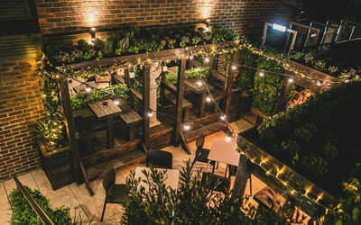 Roof garden with plants and fairy lights.