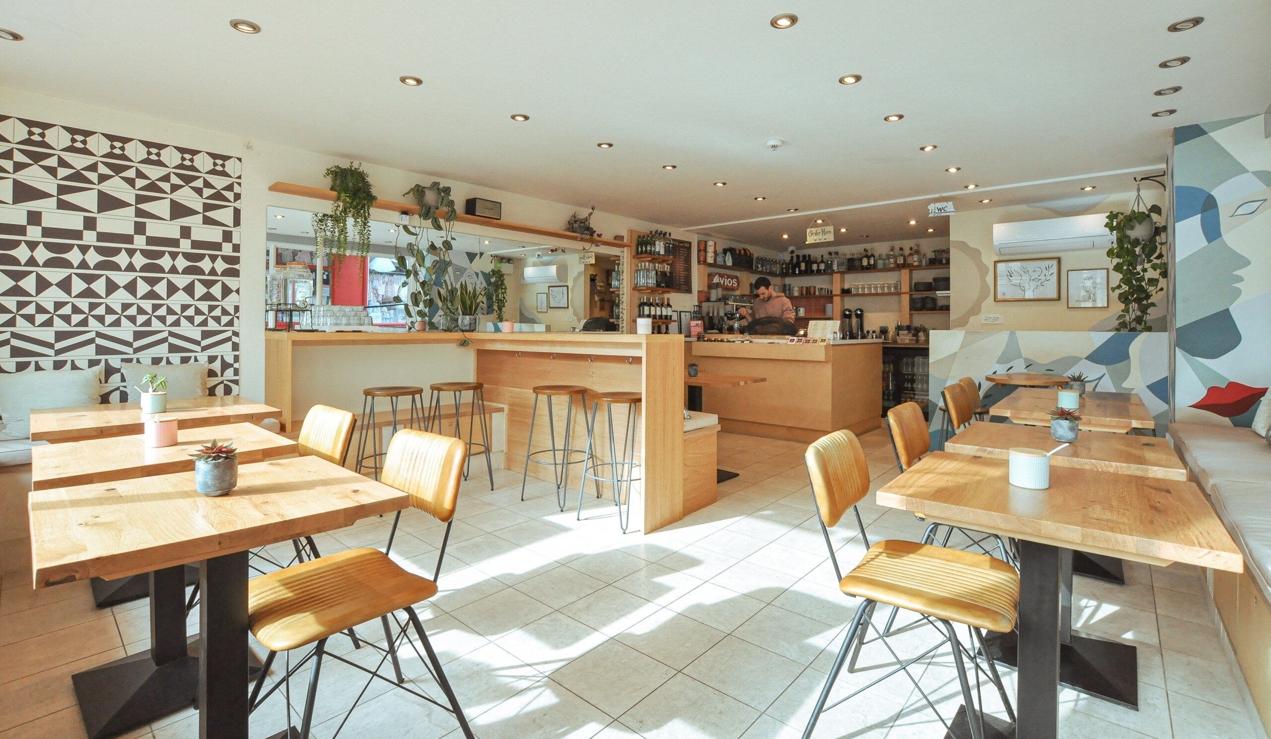 interior shot of the Vios Cafe in Brighton. Light brown wooden furniture, small plants on the tables and wall decorated with art