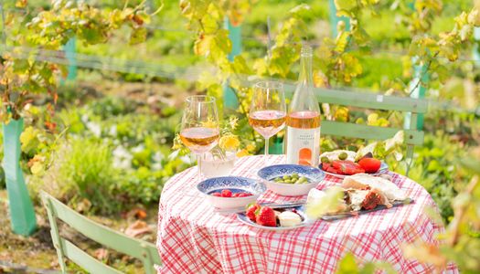 table covered with red and white table cloth standing in the middle of vineyard. Table is laid out with charcuterie, vegetables and wine