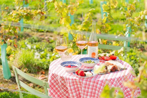 table covered with red and white table cloth standing in the middle of vineyard. Table is laid out with charcuterie, vegetables and wine