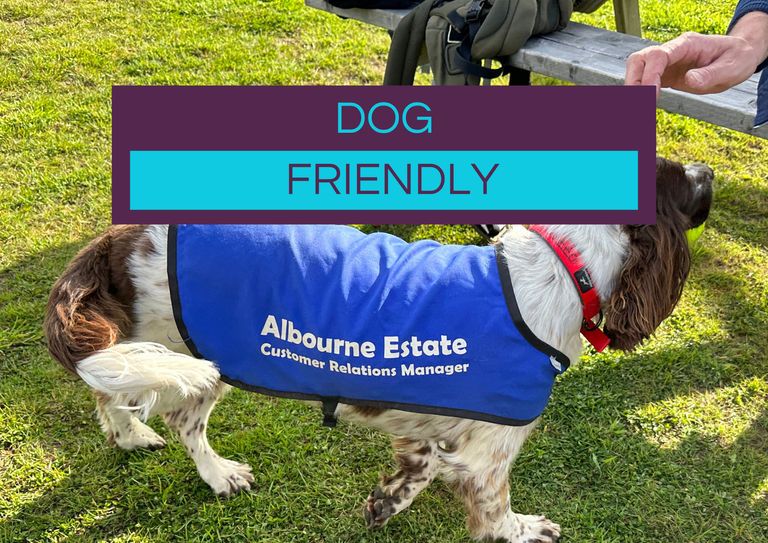 pictured the customer relations manager at the Albourne vineyard. The picture which represents our dog friendly guide to restaurants and pubs in Brighton and Sussex.