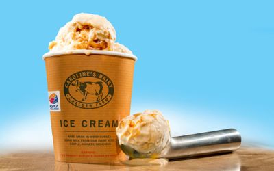 Carolines Dairy, pictured, a tub of icecream with a blue sky backdrop and an icecream scoop