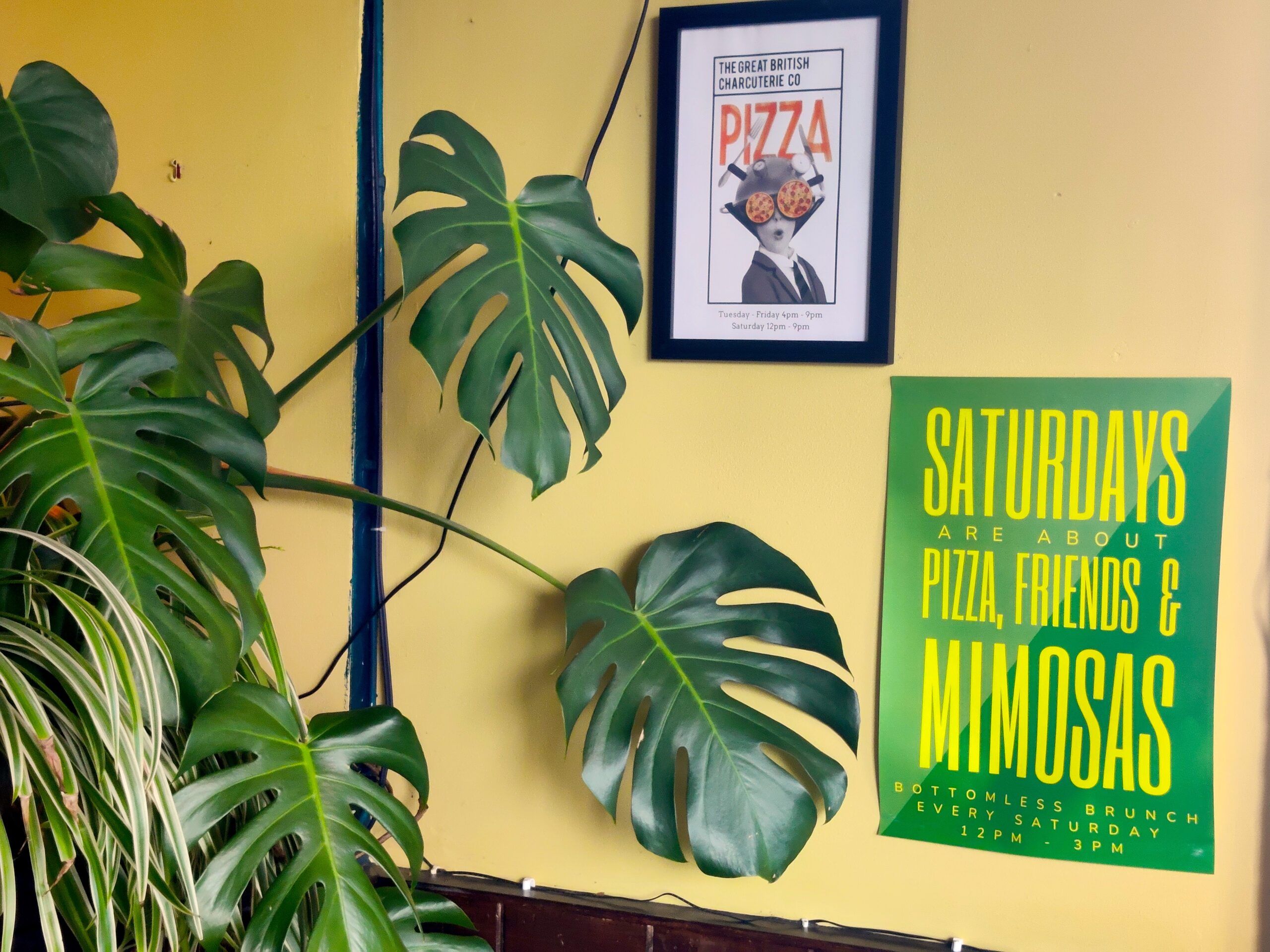 decorated walls at the West Hill Tavern, pictures and flyers on the yellow wall, big green plant