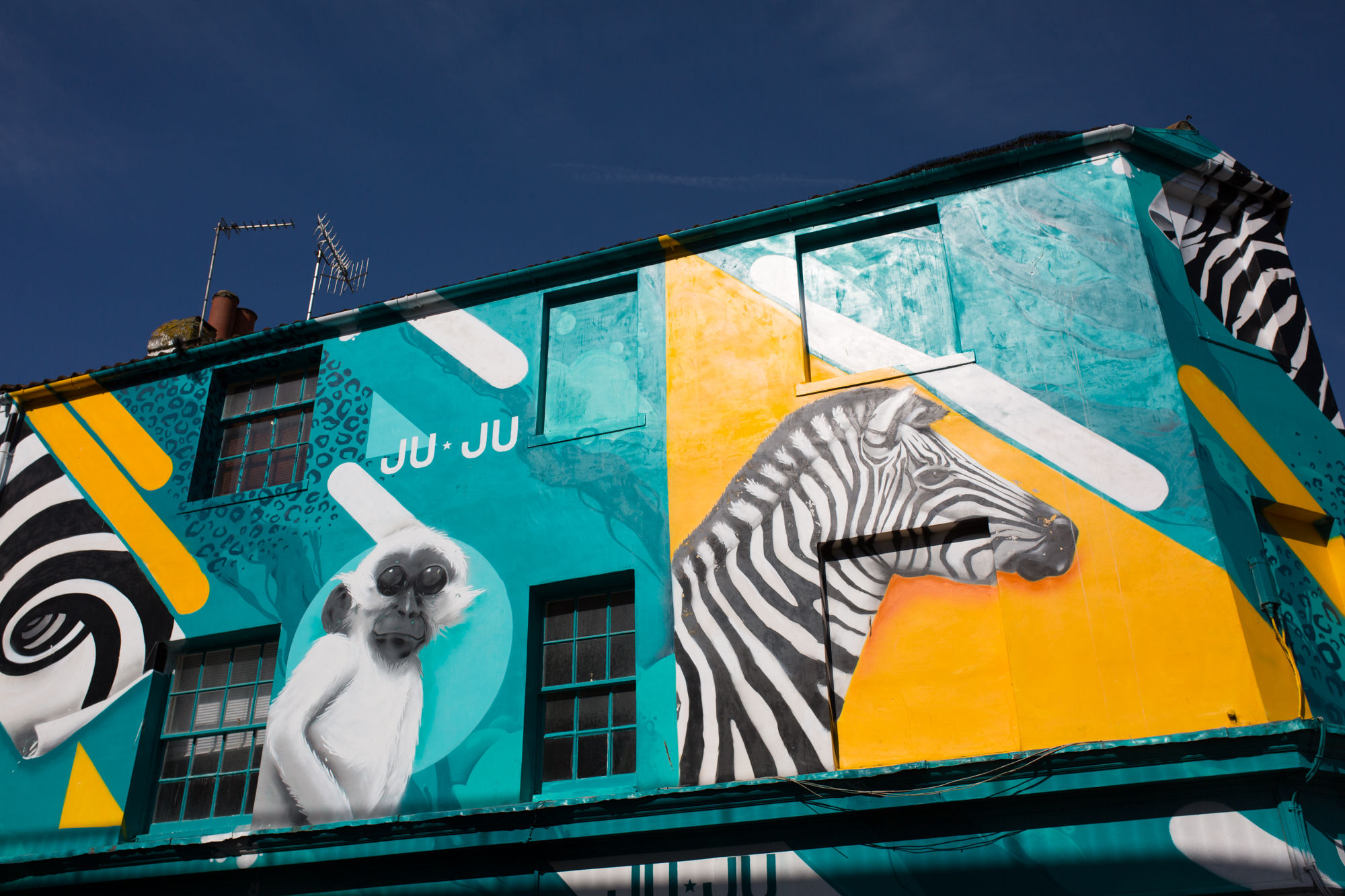 A colourful painted house in Brighton's bohemian North Laine. A monkey and Zebra painted in green and yellow on the side of a house.