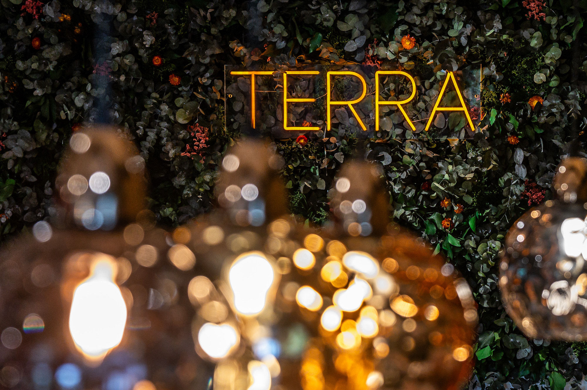 Terra restaurant signage situated within a backdrop of fresh green foliage. In the foreground are orange hued lights slightly out of focus. 