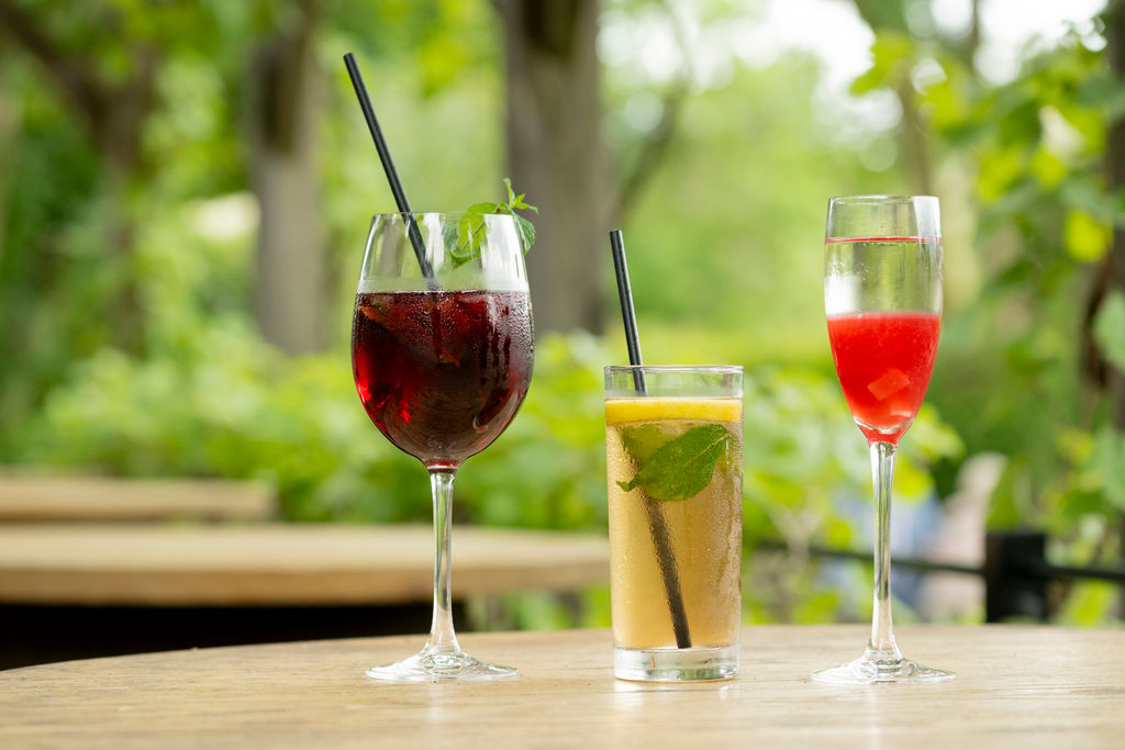 Three drinks lined up outside with green leaves in the background out of focus.