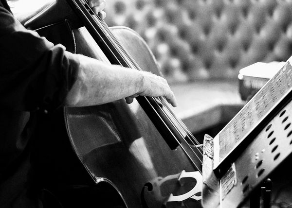 A close up photo of a double bass being played by a man.
