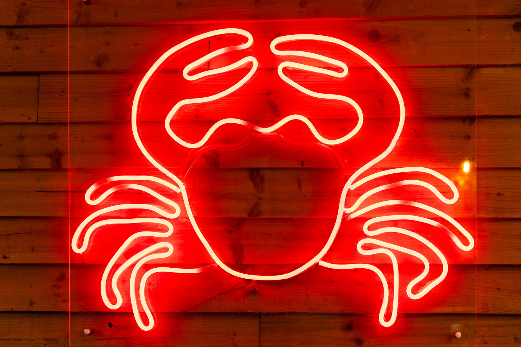 neon crabshack logo on wall