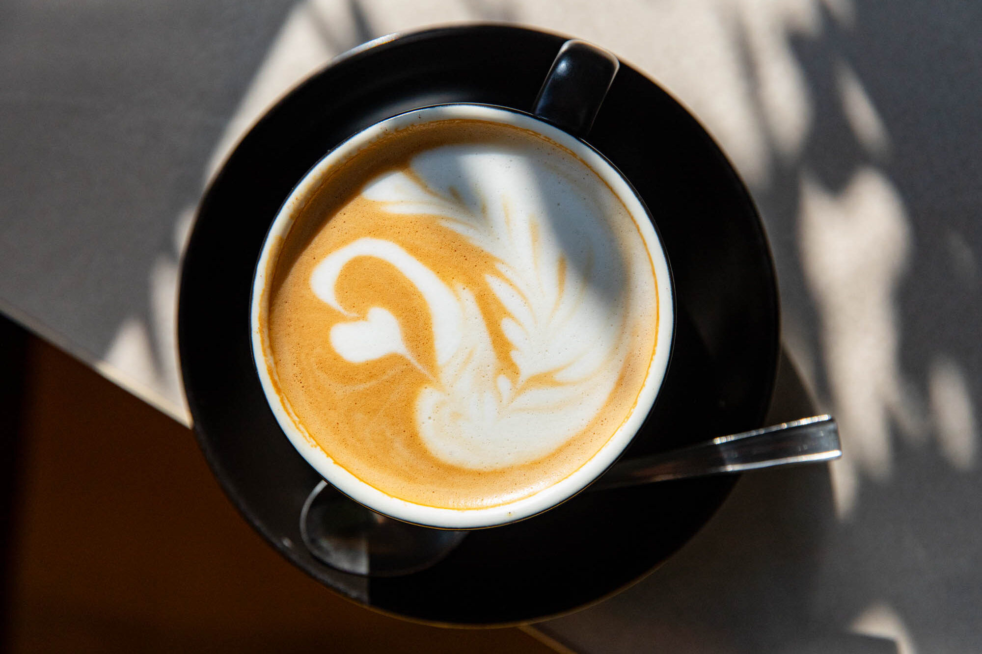 over head shot of the flat white coffee served at Curio