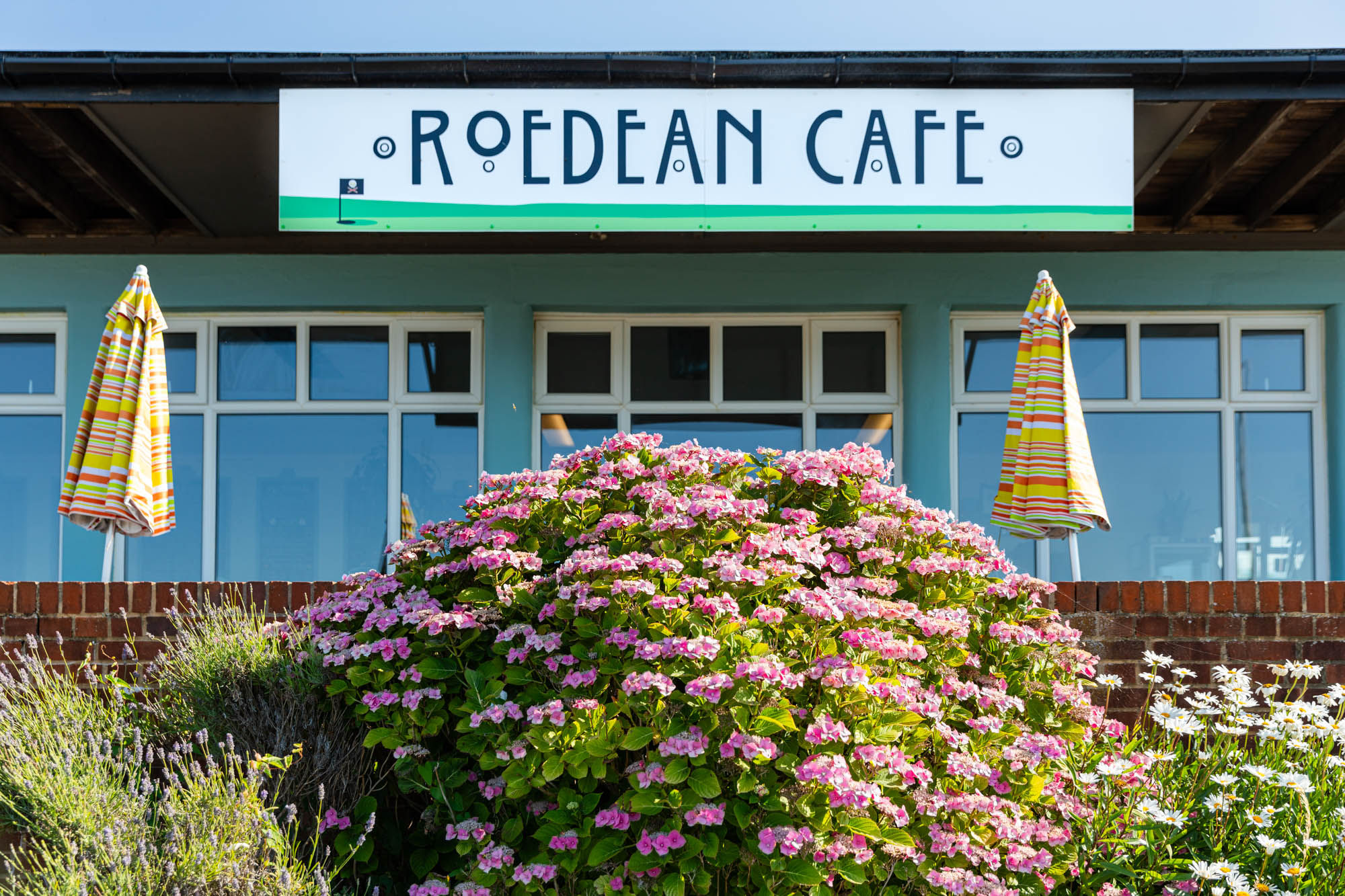 exterior shot of Roedean Cafe, blue header. and green/blue walls, big bush of flowers in the garden