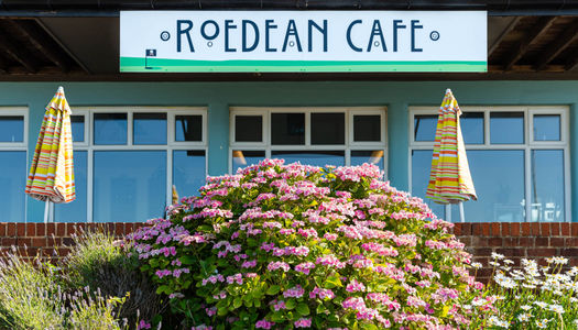exterior shot of Roedean Cafe, blue header. and green/blue walls, big bush of flowers in the garden