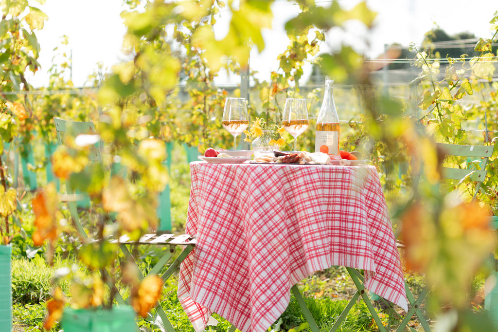 A table and chairs with wine set up in a vineyard on a sunny day.