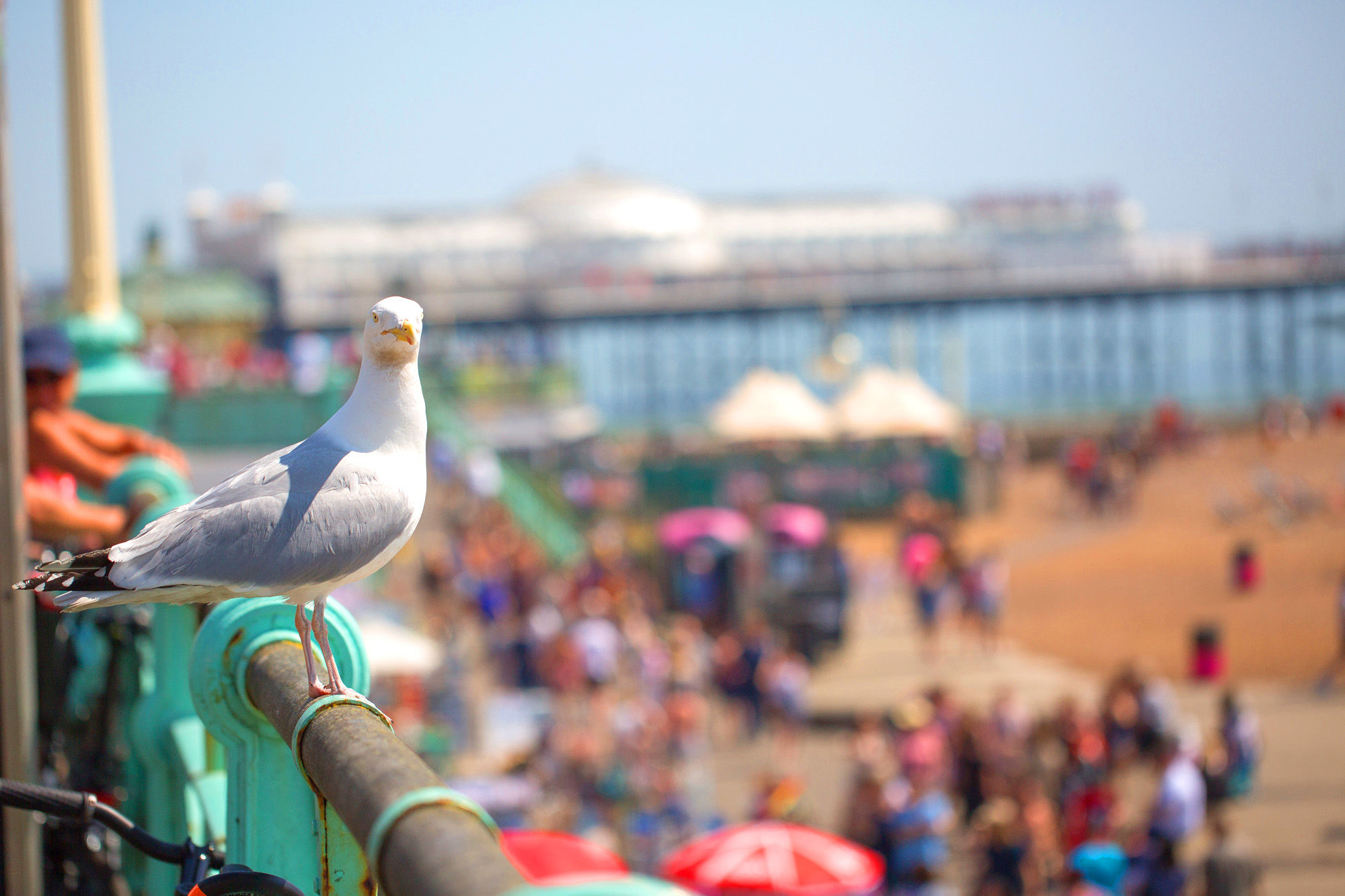 Brighton UK seafront on a sunny summer’s day with beachgoers, colourful deckchairs and the iconic Brighton Palace Pier in the background.