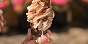 hand holding chocolate ice cream that is melting
