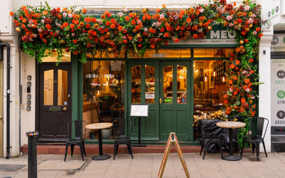 A green painted exterior at Kemptown cafe with orange flower garland.