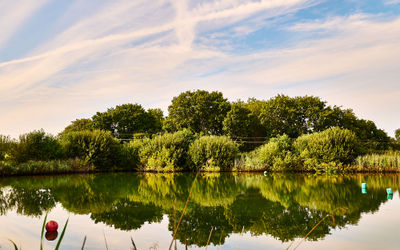A still lake with the reflection of trees with a pink and blue sky.
