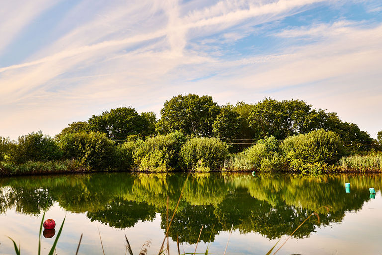 A still lake with the reflection of trees with a pink and blue sky.
