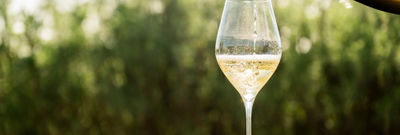 sipping sparkling wine into glass