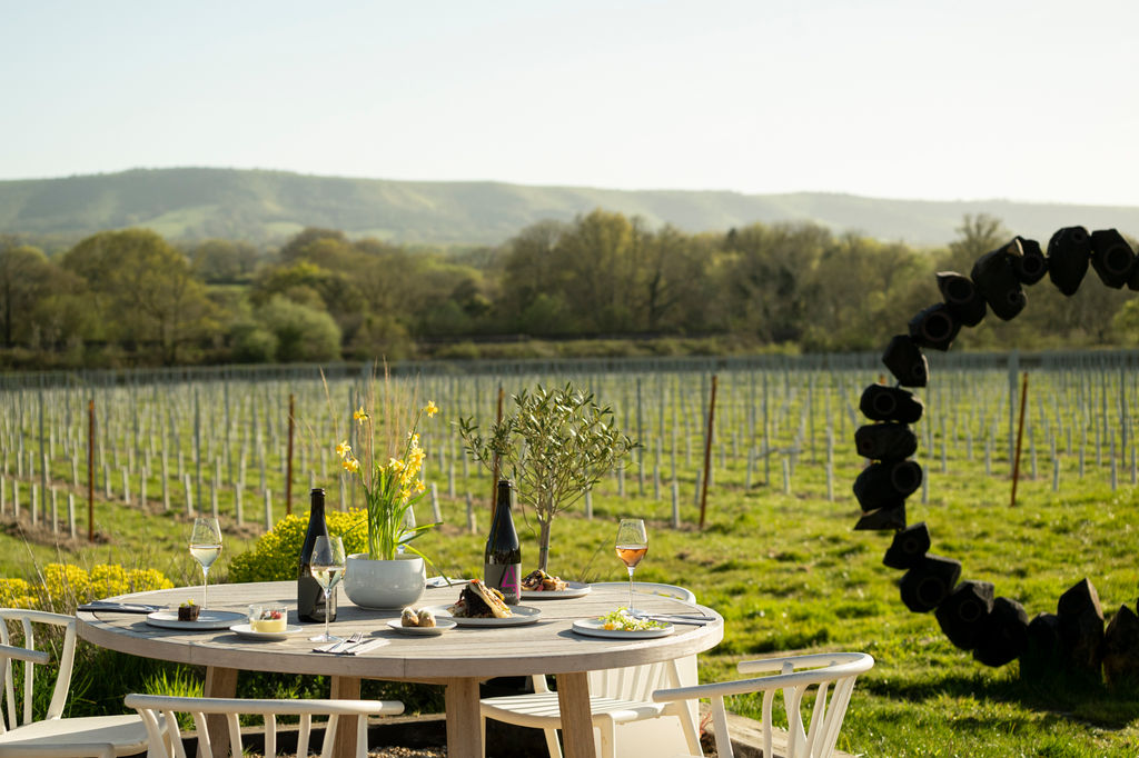 side shot of the table in vineyard laid out with plates and wine