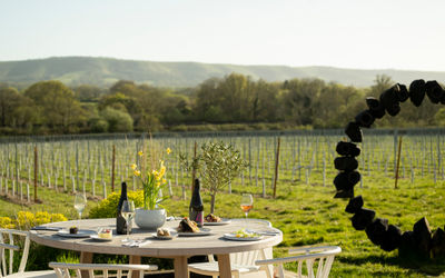side shot of the table in vineyard laid out with plates and wine