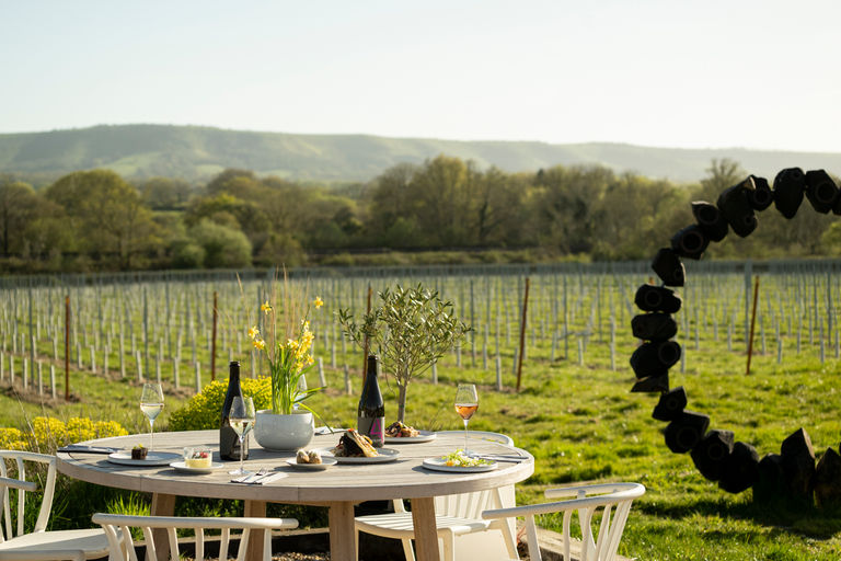 side shot of the table in vineyard laid out with plates and wine