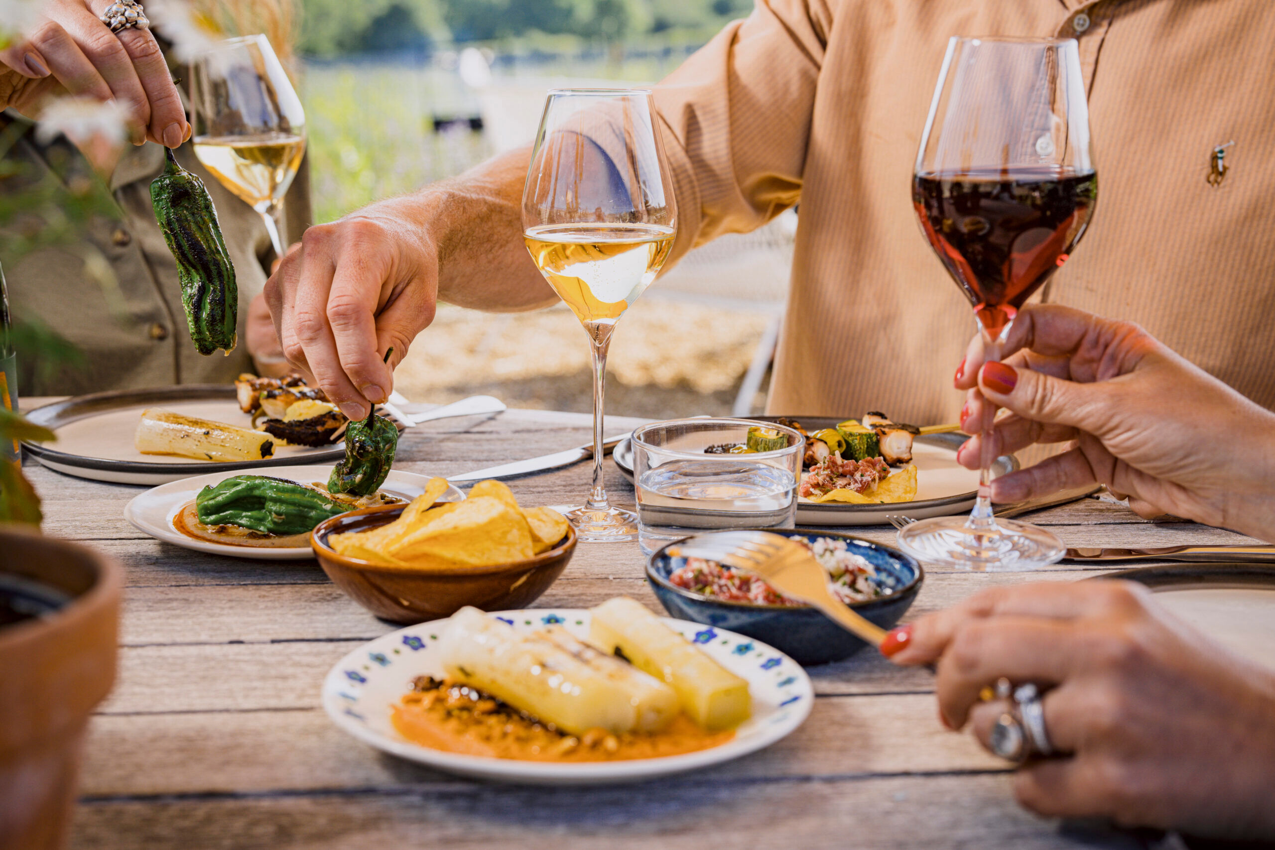 Small plates being consumed alfresco. A colourful picture with wine and small plates being enjoyed.