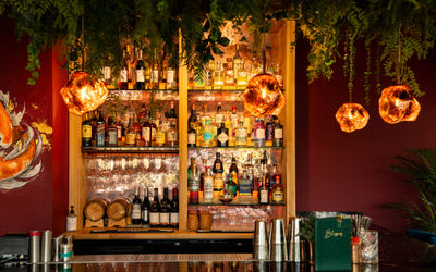 Behind the bar the gold drinks cabinet with spirits, liqueurs and green foliage decorating the ceiling.