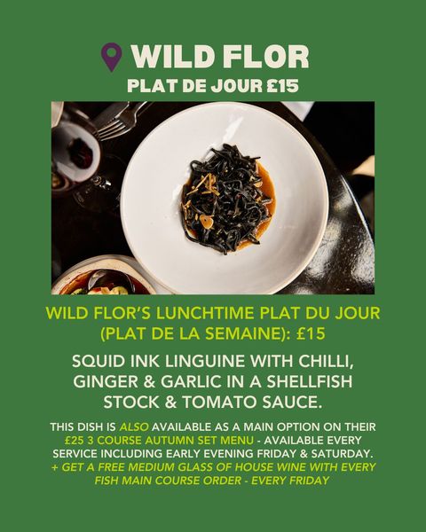 offers 10/11 wilf flor